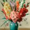 Gladiola jazaj